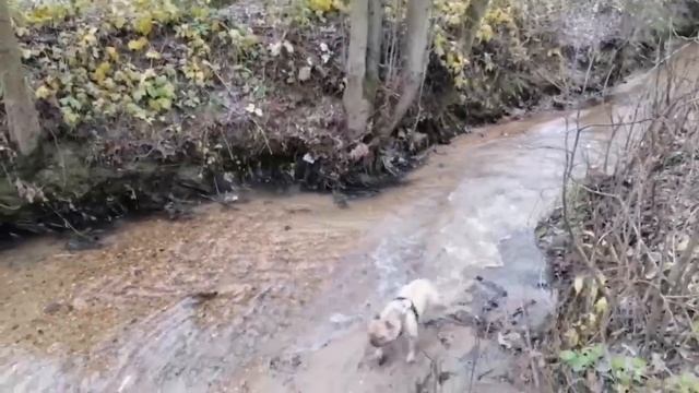 2023.11.11 Локи как я смотреть онлайн