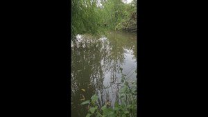 Ловили Щуку а попался сом на блесну Рыбалка в Дагестане