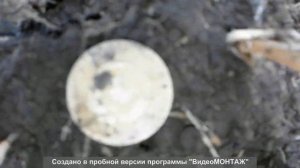 Коп с Garrett Ace 250+Nel Tornado