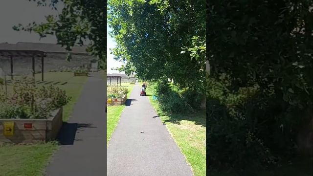 The Walled Garden, westerly view. Alloa, Scotland