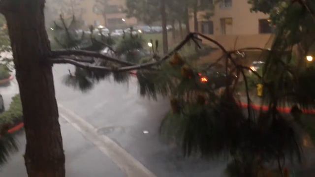 San Diego UTC Weather Report 5:30 PM смотреть онлайн