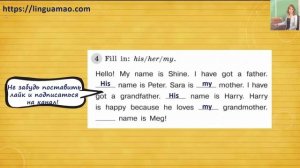 Spotlight (английский в фокусе) 3 класс Грамматический тренажер страница 14 номер 4 ГДЗ решебник