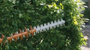 HL 91 K Professional Extended-reach Hedge Trimmer | STIHL