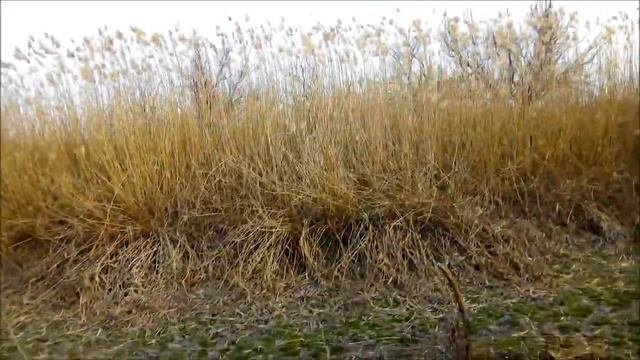 Коп Металлолома нашли Цветмет