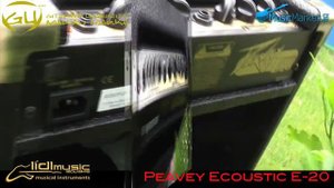 0339 Peavey Ecoustic E20