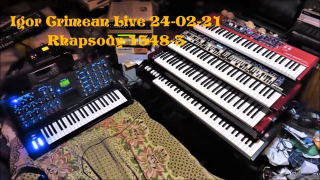 Minimoog Voyager Electric Blue+Organs Rhapsody 1348 3 смотреть онлайн
