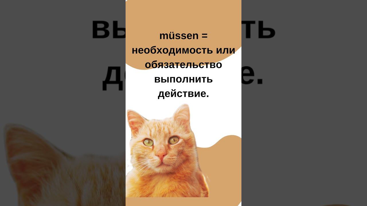 Müssen или sollen? Немецкий язык. speakASAP®. смотреть онлайн