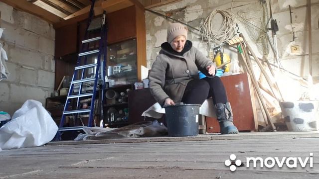ДЕРЕВНЯ/БЕЛАРУСЬ.Мешанка курам весной.Куры на вольном выгуле.