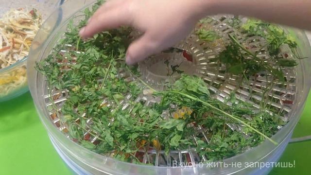 Натуральная Приправа из сушеных овощей своими руками