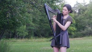 The Sound of Silence | Simon & Garfunkel (Harp Cover)