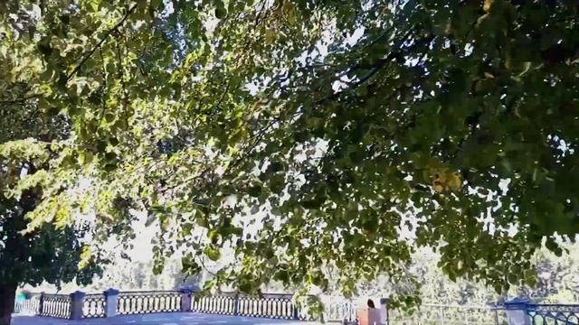 Центр Кемерово. Удачное сочетание качественного озеленения красивой архитектуры!