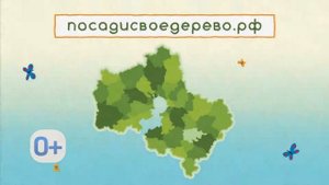 В Подмосковье 22 сентября пройдет акция «Наш лес. Посади свое дерево»