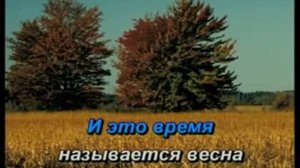 Караоке   Вот идет по свету человек чудак online video cutter com