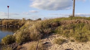 ЛОВИМ УСАЧА В ГОЛЛАНДИИ/ РЫБАЛКА НА УСАЧА/