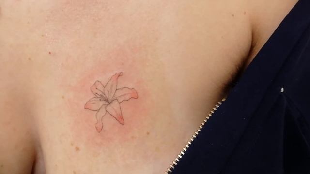 Курс МИНИ - ТАТУИРОВКА смотреть онлайн