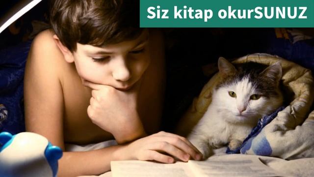 Урок 17 Турецкий язык в картинках смотреть онлайн