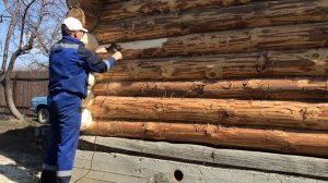 Шлифую баню альфа диском