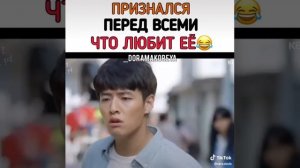 ?Когда цветёт камелия?