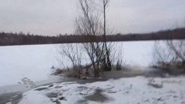 Озеро около моей дачи. Небольшой  обзор озера в зимнее время.Есть следы  рыбаков .