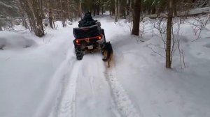 ЛайтПокатушки!! Снегоход и квадрик. Январь 2022. Следы зверей..mp4