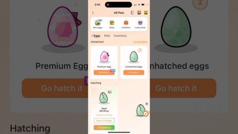 How to get an egg/pet on Widgetable?