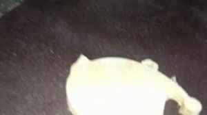 Барабанно шлифовальный станок с авто подачей для сувенирки