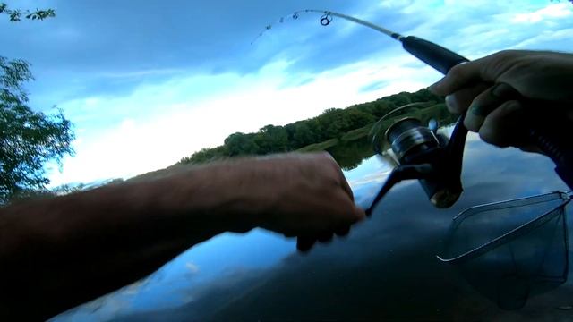 Сазан (и не только) на Дону в Липецкой области. смотреть онлайн