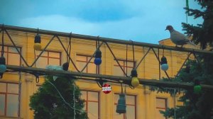 ГОРОД КУСАРЫ 2023 #6