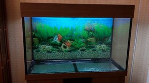 Аквариум 240 литров на тумбе! Размеры для аквариума..