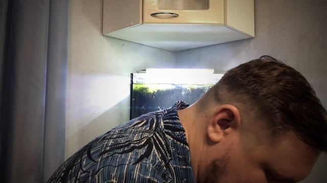 В АКВАРИУМЕ 40 ЛИТРОВ УСТАНАВЛИВАЕМ ДЕКОРАЦИИ И САЖАЕМ РАСТЕНИЯ смотреть онлайн