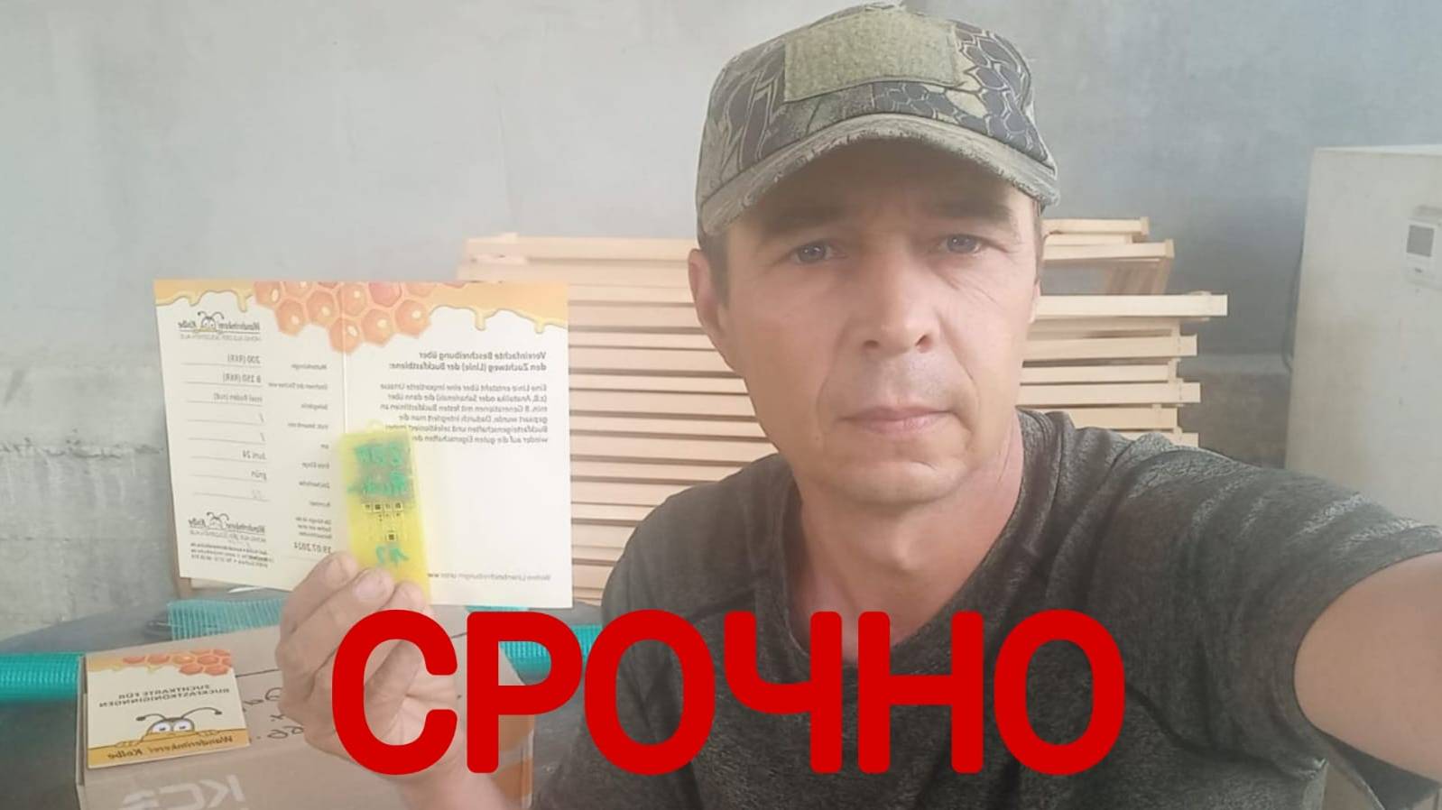 Срочно, Бакфаст за 30000 рублей смотреть онлайн