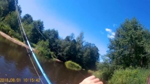 Ловля головля на саранчу.  река Линда,Нижегородская область 2018 г
