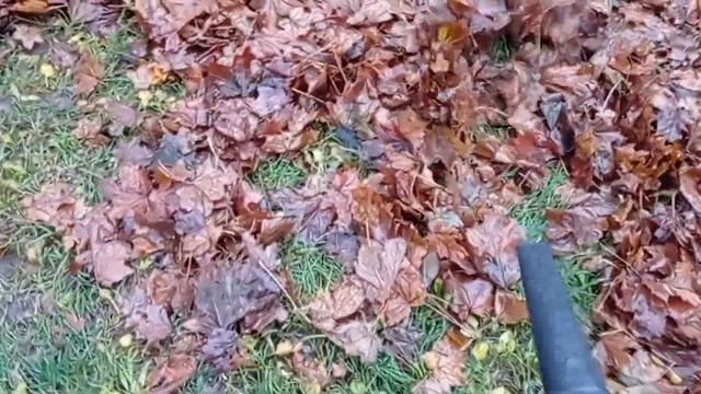 Воздуходувка электрическая. Первое использование.