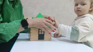 Диана коробка форм