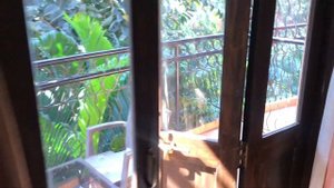 Nazri Resort, Северный Гоа, Бага. Обзор отеля