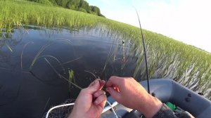 Рыбалка на ПОПЛАВОК  В КАМЫШАХ