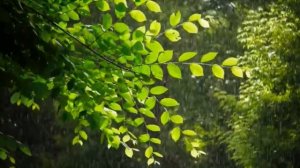 Снимаем кровную вражду