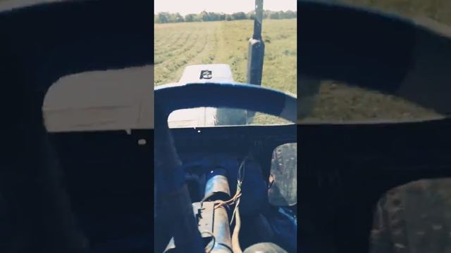 Работа #1 Покос люцерны на тракторе МТЗ-50 и польской роторной косилкой z-069 смотреть онлайн