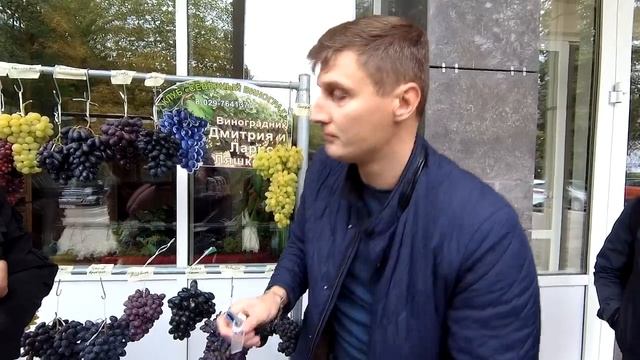 Виноград Дмитрия Ляшкевича в условиях Беларуси. Измеряем сахар. Выставка винограда в Самохваловичах смотреть онлайн