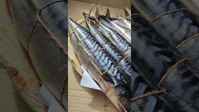 СКУМБРИЯ ГОРЯЧЕГО КОПЧЕНИЯ. смотреть онлайн