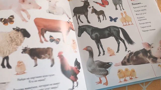 Найди и покажи. Животные. издательство Clever смотреть онлайн