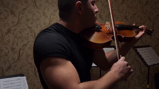 Tughushi plays Vivaldi's Winter on Viola смотреть онлайн