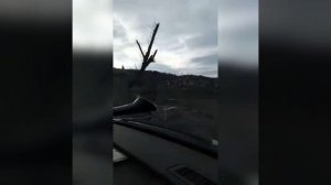 Купянск. Очень сильно пострадал, мёртвые даже деревья.