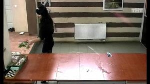 Ночной эфир 1371 дня