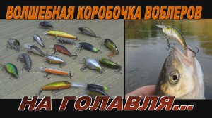 Волшебная коробочка воблеров на голавля