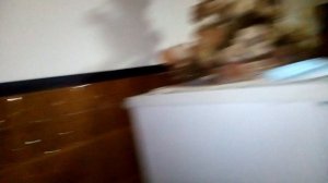 Новое место экспериментов