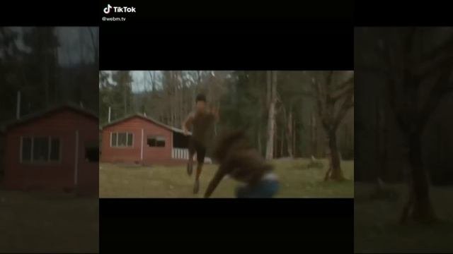 Цитаты Волка☝️| Подборка цитат Тик Ток | Мудрые слова