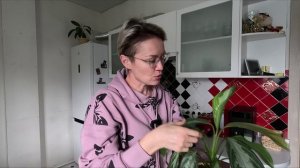 ВЛОГ.УТРО.ДЕНЬ.ВЕЧЕР.