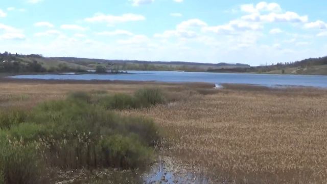 Река Разумная Белгородская область разумное белгородская область