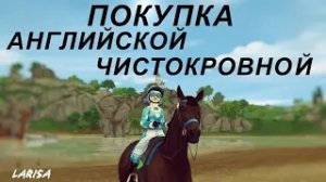 STAR STABLE. ПОКУПКА АНГЛИЙСКОЙ ЧИСТОКРОВНОЙ ЛОШАДИ
